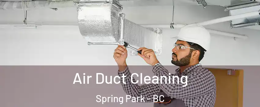 Air Duct Cleaning Spring Park - BC