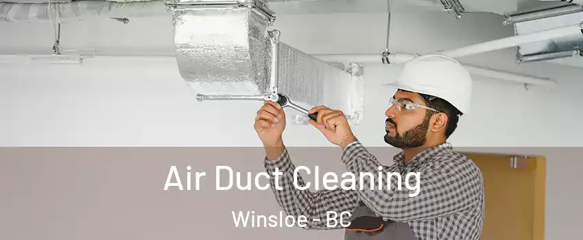  Air Duct Cleaning Winsloe - BC