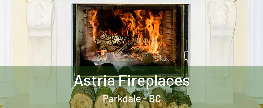  Astria Fireplaces Parkdale - BC