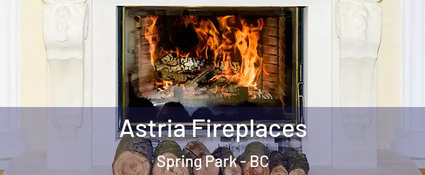  Astria Fireplaces Spring Park - BC