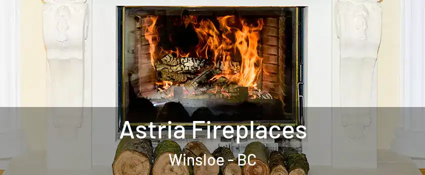  Astria Fireplaces Winsloe - BC