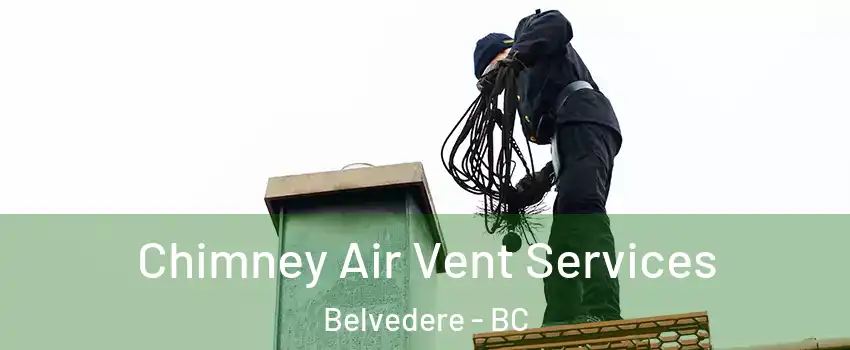  Chimney Air Vent Services Belvedere - BC