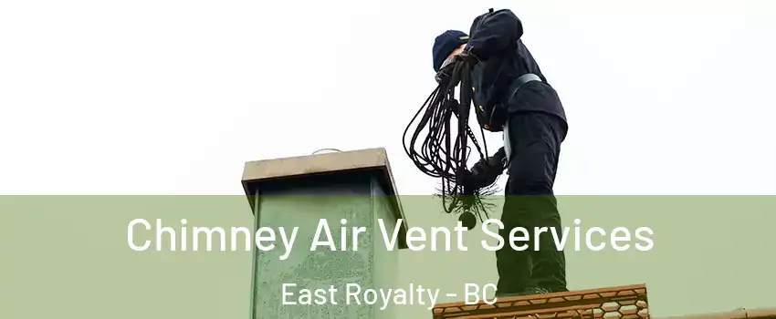  Chimney Air Vent Services East Royalty - BC