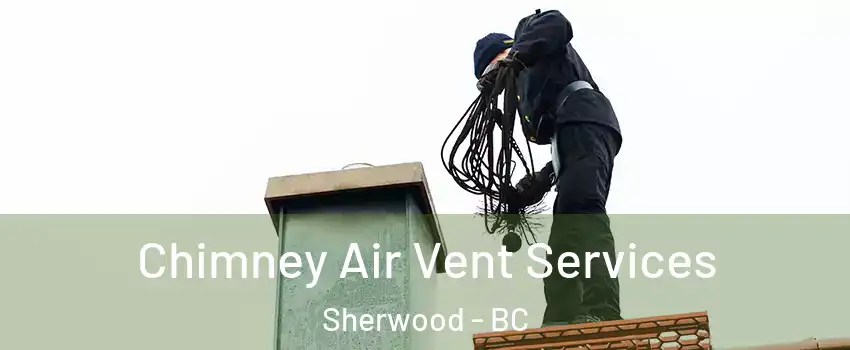 Chimney Air Vent Services Sherwood - BC