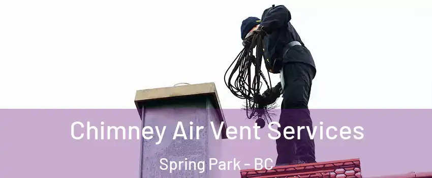  Chimney Air Vent Services Spring Park - BC