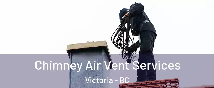  Chimney Air Vent Services Victoria - BC