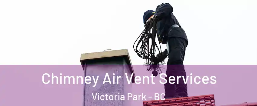  Chimney Air Vent Services Victoria Park - BC