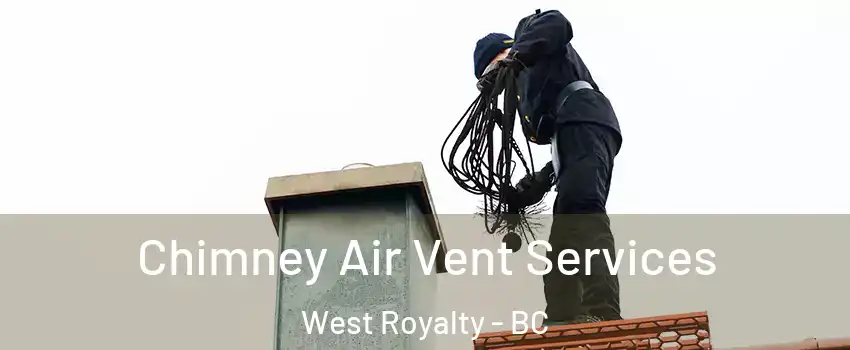  Chimney Air Vent Services West Royalty - BC