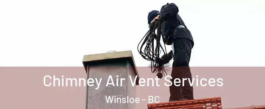  Chimney Air Vent Services Winsloe - BC