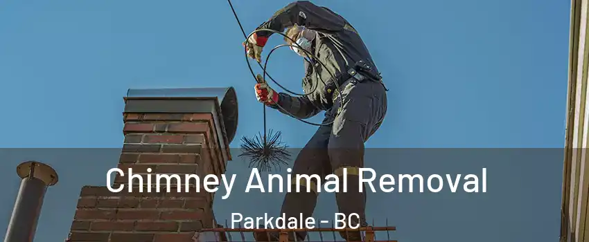  Chimney Animal Removal Parkdale - BC