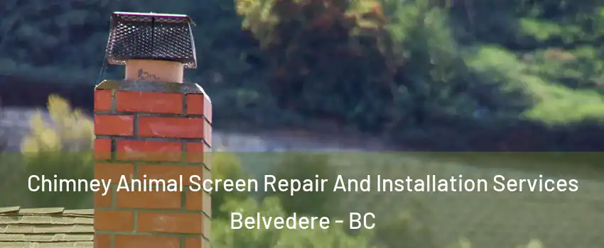  Chimney Animal Screen Repair And Installation Services Belvedere - BC