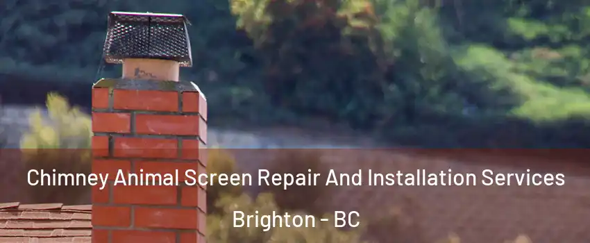 Chimney Animal Screen Repair And Installation Services Brighton - BC