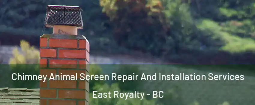 Chimney Animal Screen Repair And Installation Services East Royalty - BC