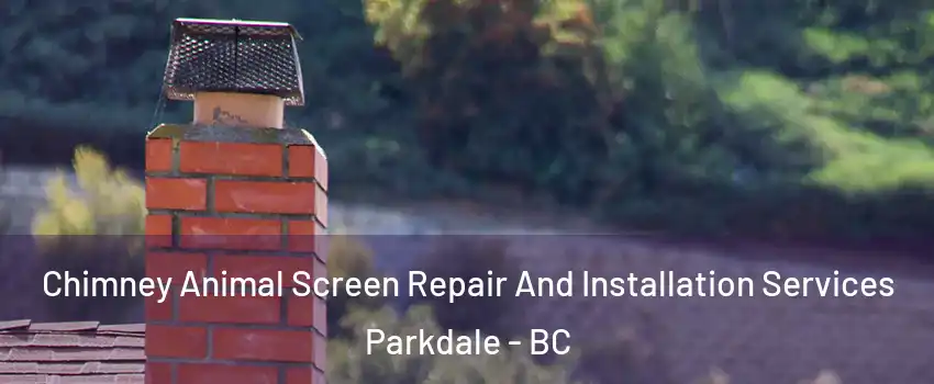  Chimney Animal Screen Repair And Installation Services Parkdale - BC