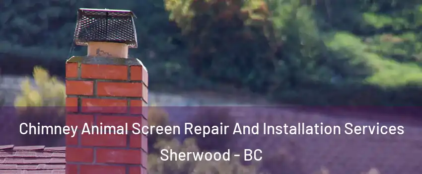  Chimney Animal Screen Repair And Installation Services Sherwood - BC
