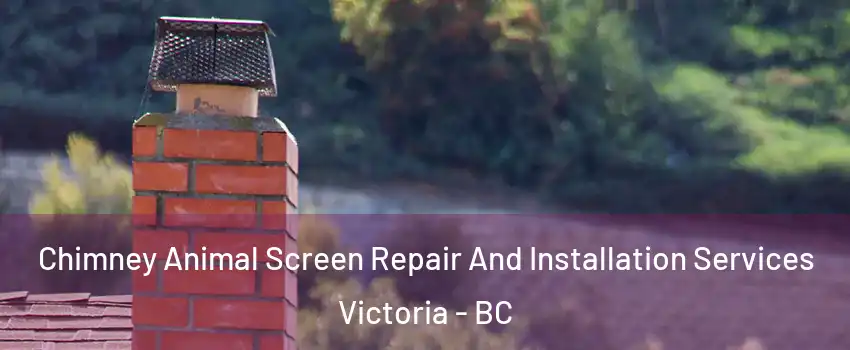  Chimney Animal Screen Repair And Installation Services Victoria - BC