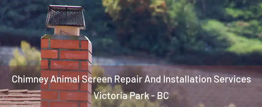  Chimney Animal Screen Repair And Installation Services Victoria Park - BC