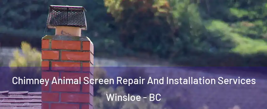  Chimney Animal Screen Repair And Installation Services Winsloe - BC