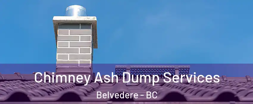  Chimney Ash Dump Services Belvedere - BC