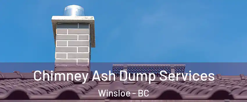  Chimney Ash Dump Services Winsloe - BC