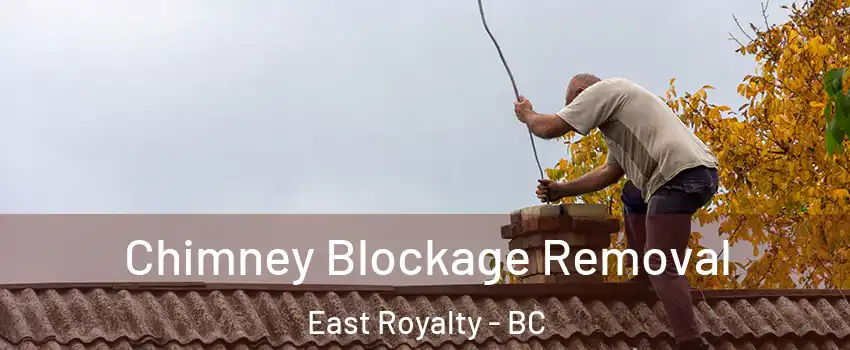  Chimney Blockage Removal East Royalty - BC