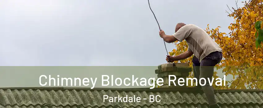  Chimney Blockage Removal Parkdale - BC