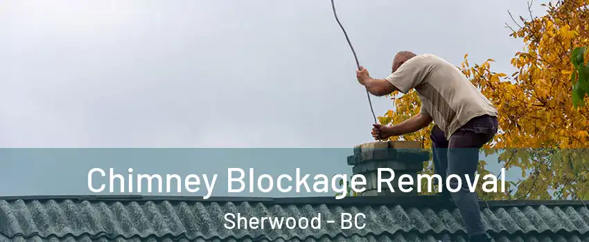  Chimney Blockage Removal Sherwood - BC