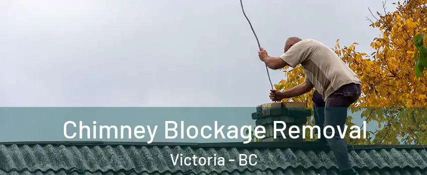  Chimney Blockage Removal Victoria - BC