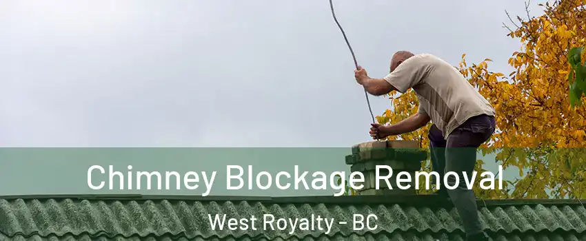  Chimney Blockage Removal West Royalty - BC