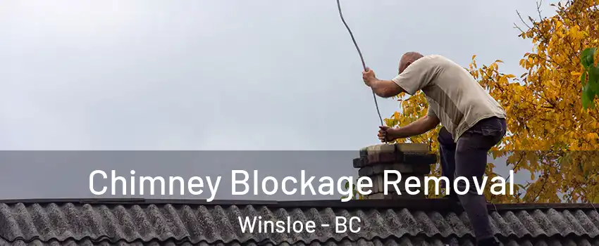 Chimney Blockage Removal Winsloe - BC