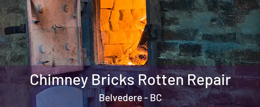  Chimney Bricks Rotten Repair Belvedere - BC