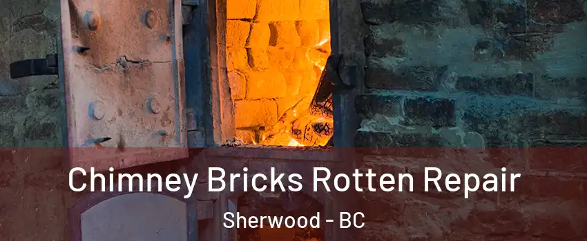  Chimney Bricks Rotten Repair Sherwood - BC