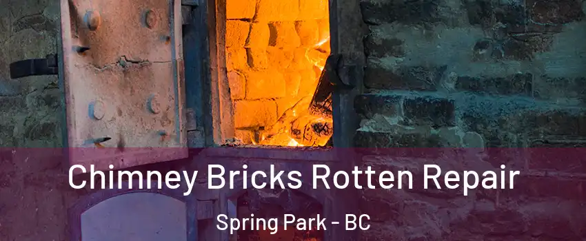  Chimney Bricks Rotten Repair Spring Park - BC