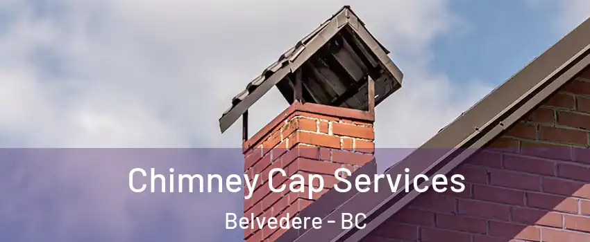  Chimney Cap Services Belvedere - BC