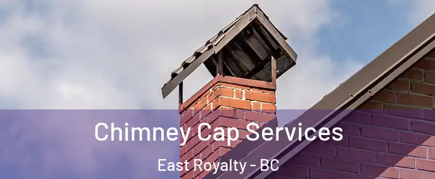 Chimney Cap Services East Royalty - BC