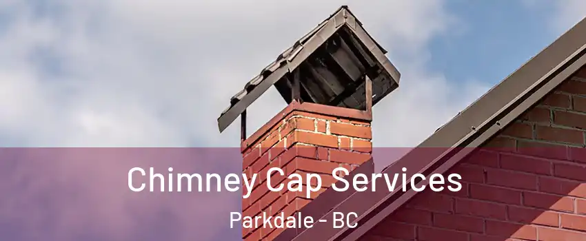  Chimney Cap Services Parkdale - BC