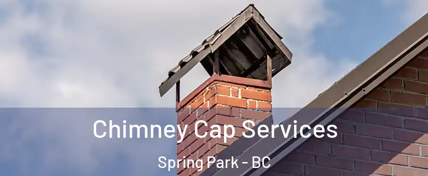  Chimney Cap Services Spring Park - BC