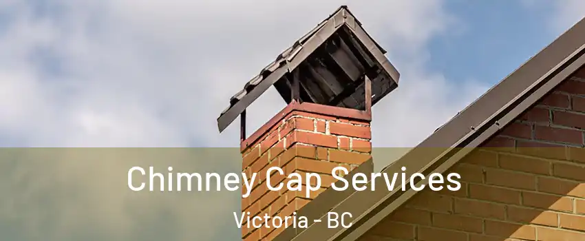  Chimney Cap Services Victoria - BC