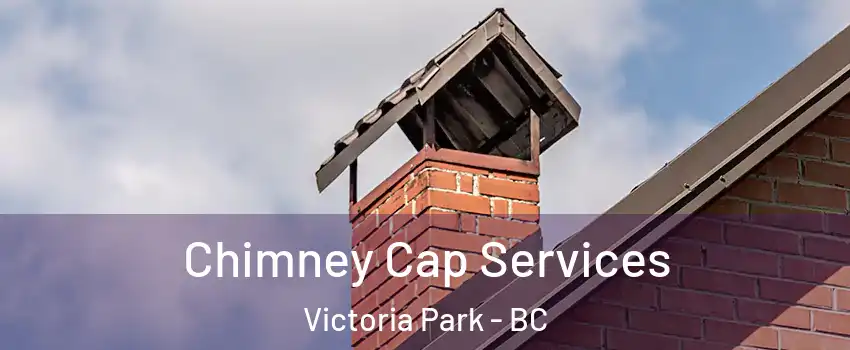  Chimney Cap Services Victoria Park - BC