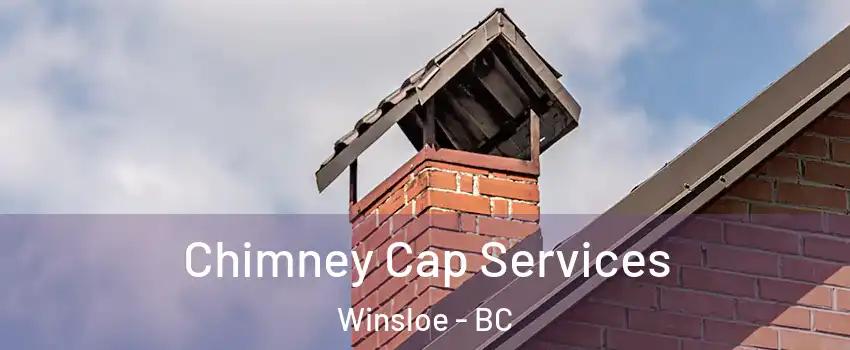  Chimney Cap Services Winsloe - BC