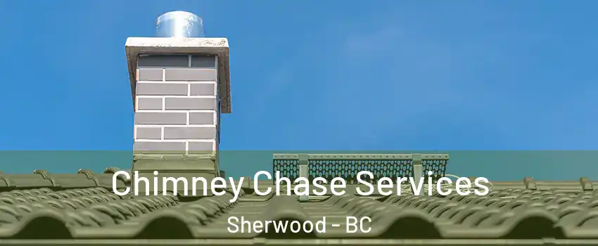 Chimney Chase Services Sherwood - BC