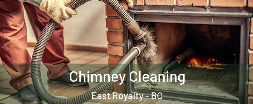  Chimney Cleaning East Royalty - BC