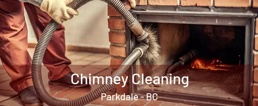 Chimney Cleaning Parkdale - BC