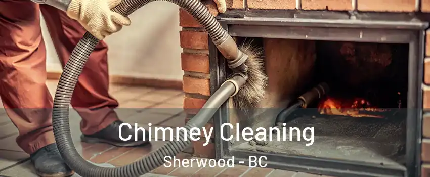 Chimney Cleaning Sherwood - BC