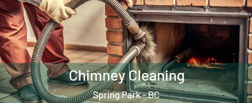  Chimney Cleaning Spring Park - BC