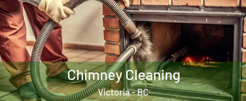  Chimney Cleaning Victoria - BC