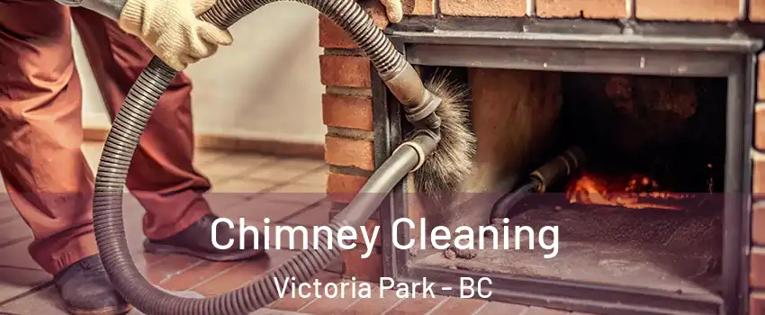  Chimney Cleaning Victoria Park - BC