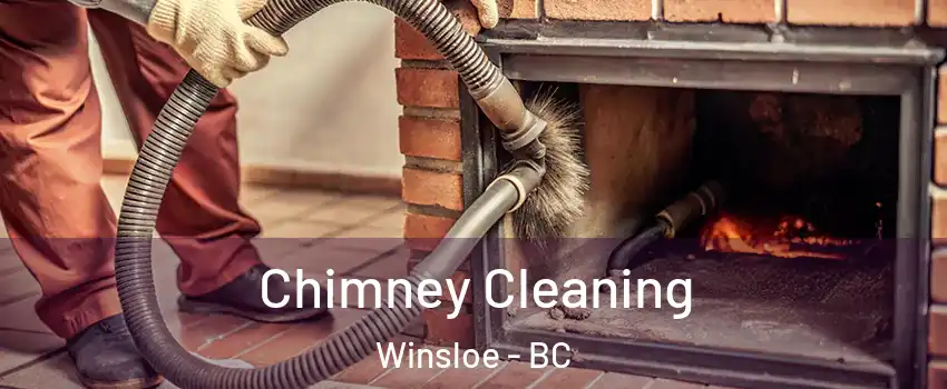  Chimney Cleaning Winsloe - BC