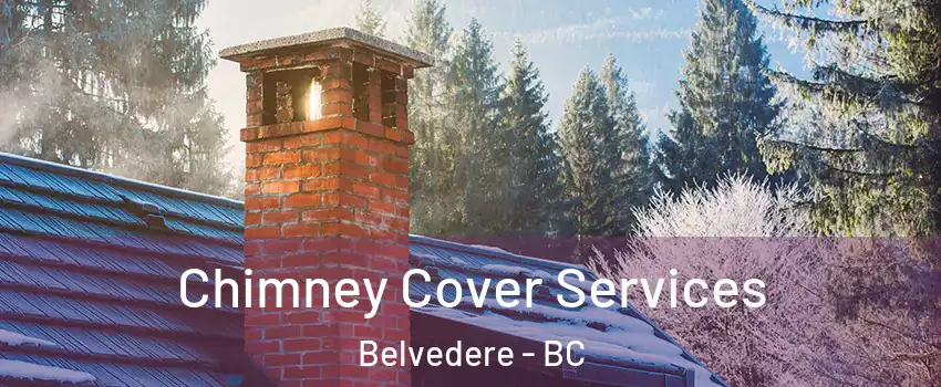 Chimney Cover Services Belvedere - BC