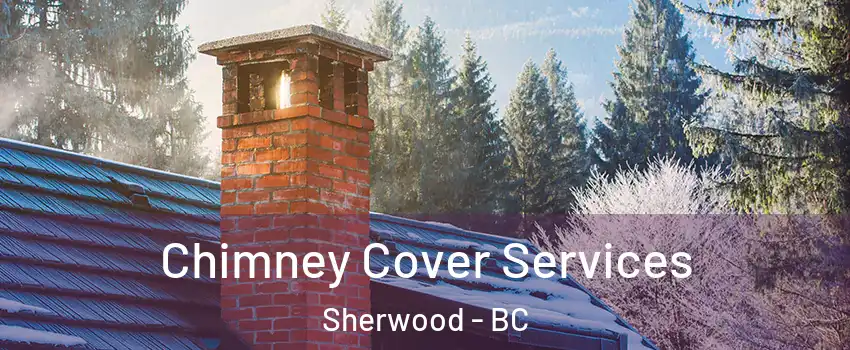  Chimney Cover Services Sherwood - BC